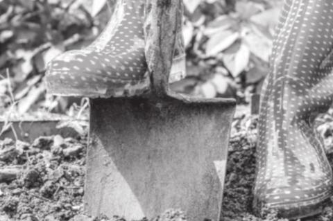 Preparing Garden Beds for Spring and Beyond