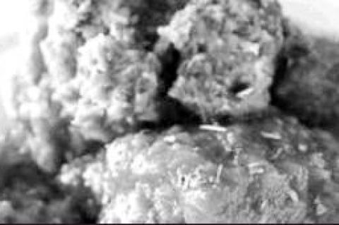 Article Image Alt Text