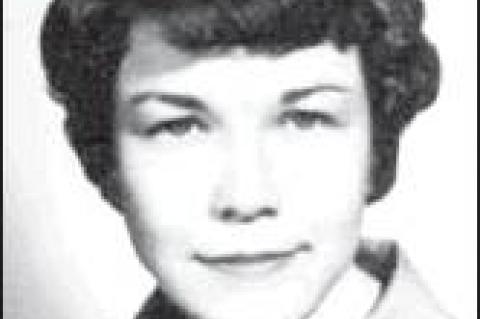 Article Image Alt Text