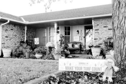 Article Image Alt Text