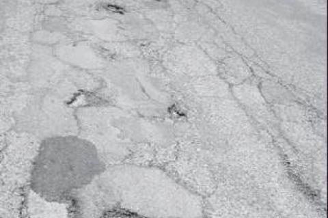 Article Image Alt Text