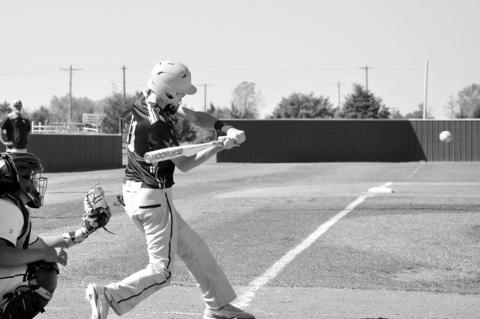 Varnum Whippets Host New Lima And Ripley in Baseball Thursday