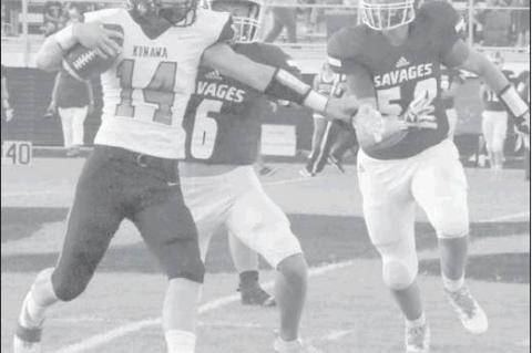 Article Image Alt Text