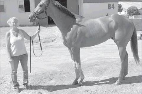 Article Image Alt Text