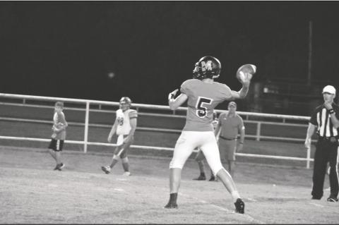 Article Image Alt Text