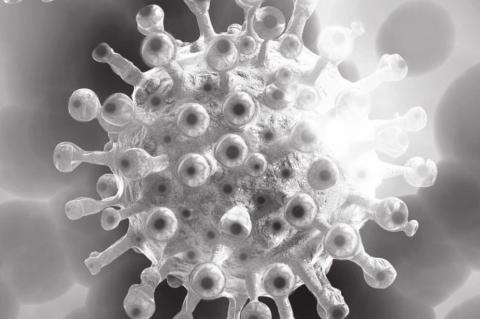 One Northwood Class Shifted to Distance Learning Due to COVID