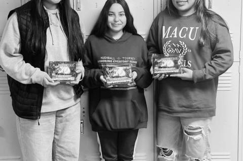 Local County High School Athletes Selected for Honors