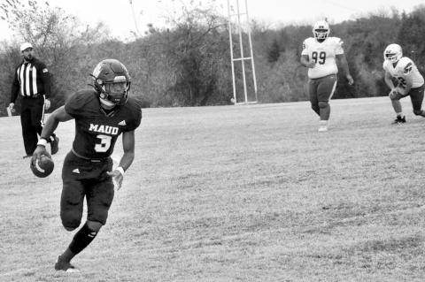 Article Image Alt Text