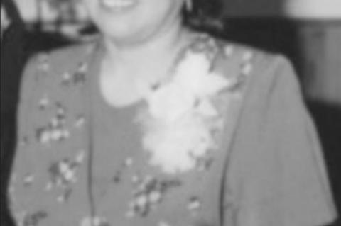 Article Image Alt Text