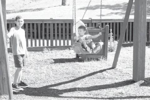 Article Image Alt Text