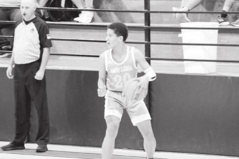 Area Roundball Action