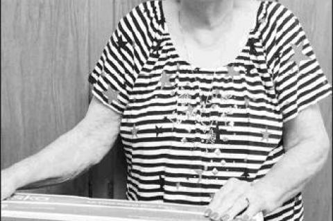 Article Image Alt Text