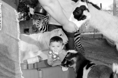 Article Image Alt Text