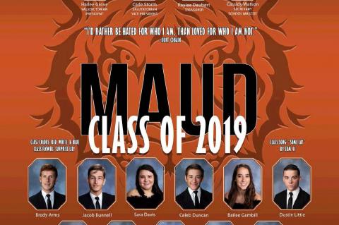 Article Image Alt Text