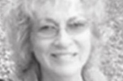 Cow Pasture Prevents Teen’s Plane From Crashing