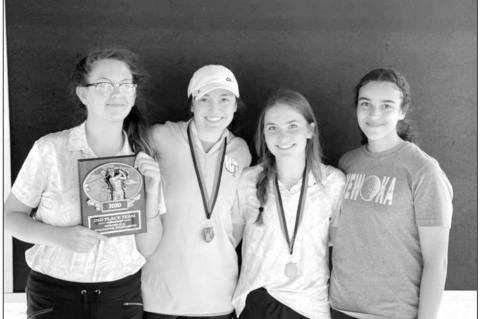 Article Image Alt Text