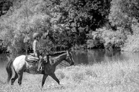 Organic Market Development Grants, Cost Share Funding Available Through USDA