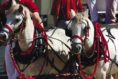 Pair of Teams Suggested as ‘Permanent Rivals’ For OU in SEC