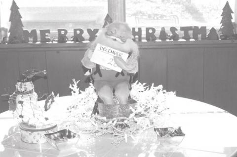 Seminole Resident Adorns Her Home With Charm And Holiday Spirit