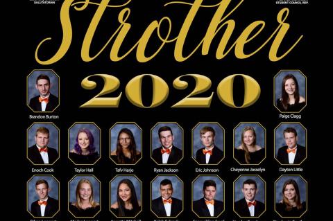 Article Image Alt Text