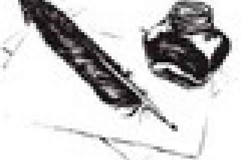 Here Comes The Judge—Here Comes The Judge!