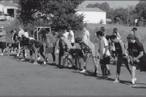 Article Image Alt Text