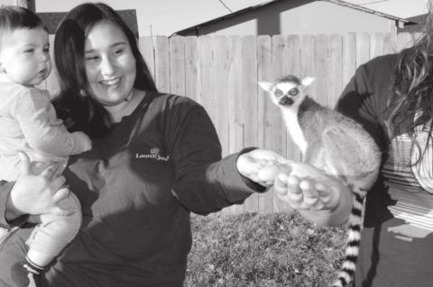 Article Image Alt Text