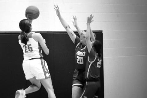 Article Image Alt Text