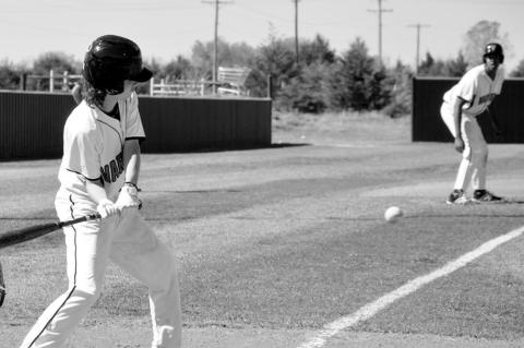 Varnum Whippets Host New Lima And Ripley in Baseball Thursday