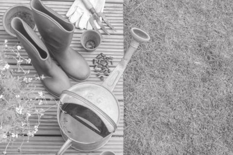 Get Ready: Early Spring Landscaping Tips