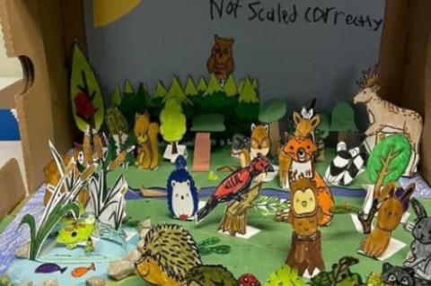 FIFTH GRADE CLASS CREATES ECOSYSTEM DIORAMAS