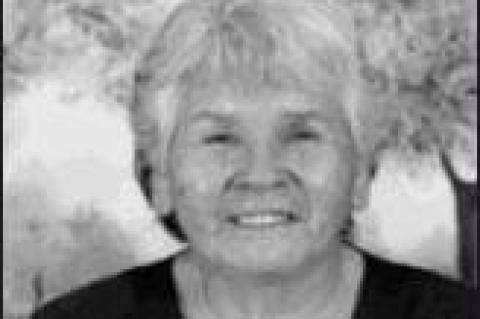 Article Image Alt Text