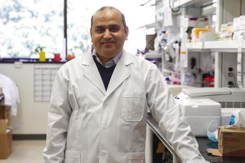 Article Image Alt Text