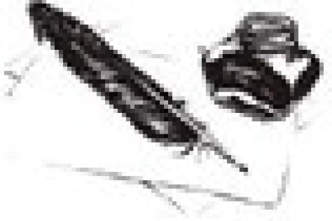 Getting to Know That Misunderstood Middle Child