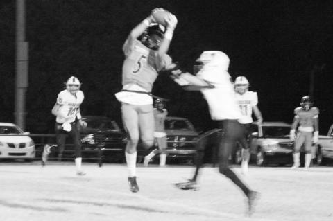 Article Image Alt Text