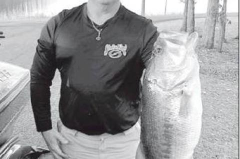 Article Image Alt Text