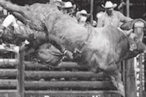 PBR Round One at the Chesapeake