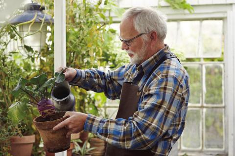 Activities That Promote Cognitive Health