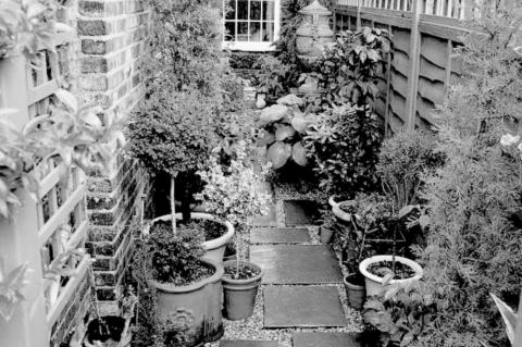 Many Options Available for Small Garden Spaces