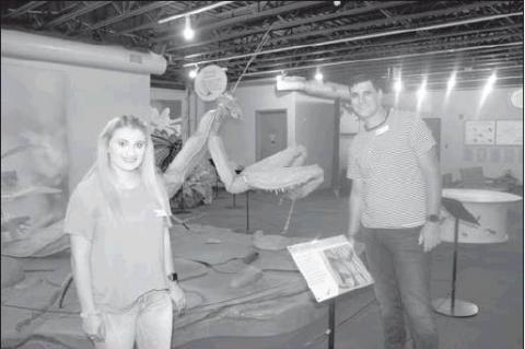 Article Image Alt Text