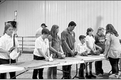 Quinn Minute – Superstitions