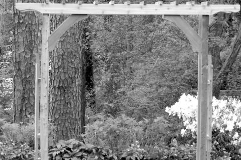 How to Build a Wooden Trellis For Your Garden