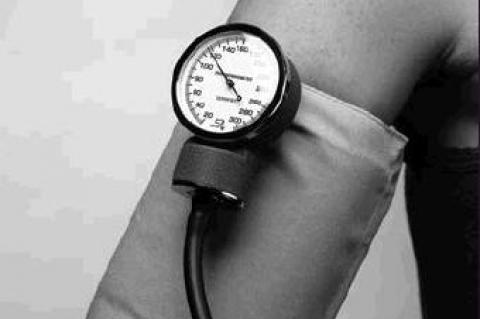 Article Image Alt Text