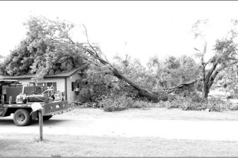 Article Image Alt Text