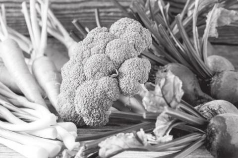 Magic of Fall is Found in The Garden