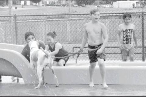 Article Image Alt Text