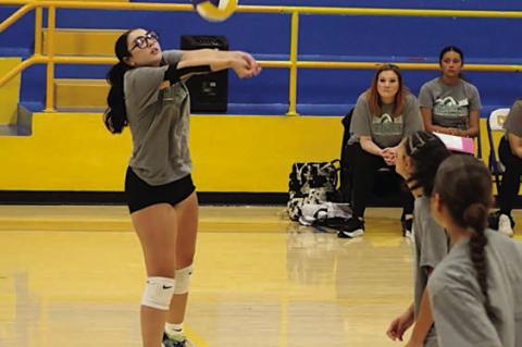 Courtesy Photo by Jacque Sinor Seminole Lady Chieftain Lindsey Phillips sets up her teammates for the score.