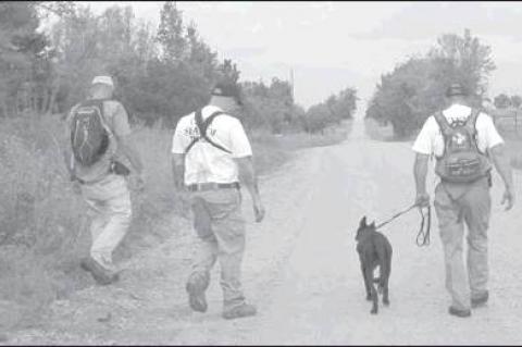 Article Image Alt Text