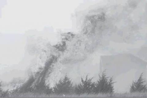 Article Image Alt Text