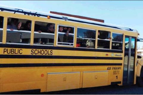 Article Image Alt Text